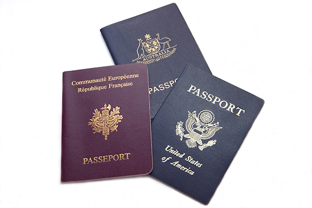Таны паспортын өнгө юу илэрхийлдэг вэ? (фото 1)