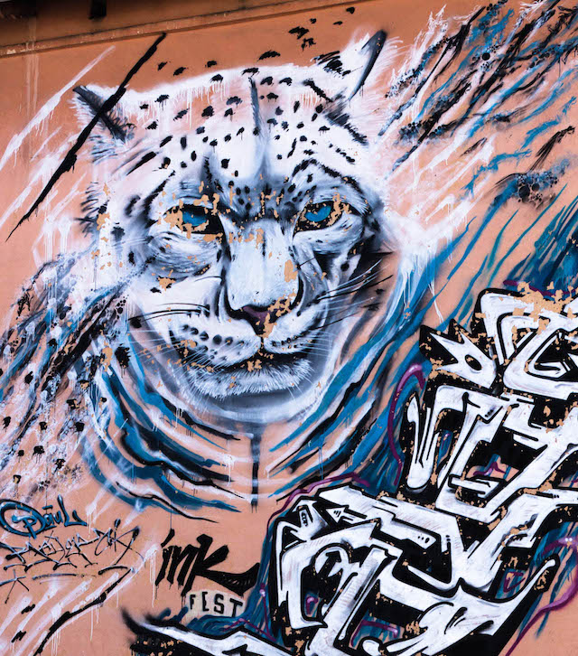 Улаанбаатар хотын онцлох граффити зургууд (фото 8)
