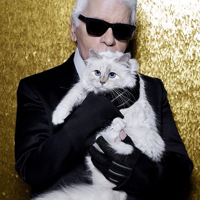 HAPPY NEW YEAR from Karl and Choupette.   #KARLLAGERFELD