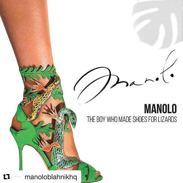 #Repost @manoloblahnikhq (@get_repost)
   
MANOLO: The Boy Who Made Shoes For Lizards. In U.S cinemas today #ManoloTheFilm @manolofilm