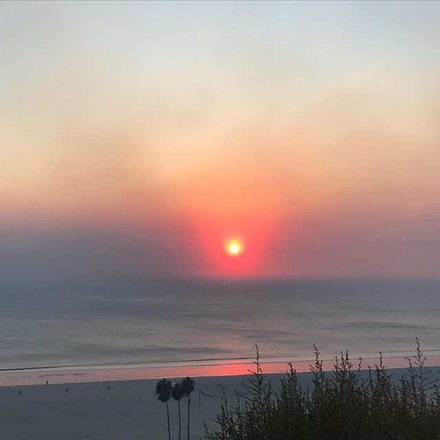Devastated to watch California burn. My thoughts and prayers are with the families and animals who have had to relocate and lost everything and firefighters who are risking their lives protecting ours. Let s all stand together and help those that need us right now by donating items to local shelters   #linkinbio for more info how to help