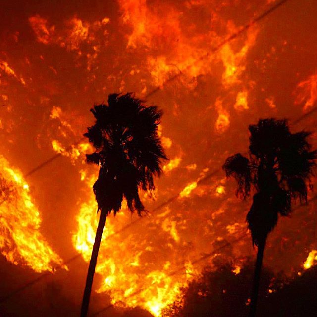  My heart is completely broken watching my hometown burn...Where I drove to ride my horses everyday, going up into where my father lives... More than 75,000 acres of beautiful Californian land.. I hope everyone is safe... I hope our animals are safe.. i hope our babies, mothers, fathers, sisters brothers are safe...I hope our schools are safe... I can't believe this fire has erupted into something so huge. My love prayers and light are going to my friends, family and everyone in the Los Angeles/ Ventura area that are affected or suffering right now... My thoughts are with those who are having to relocate.. who lost everything... and thank you to the firefighters and workers in the city that are risking their lives to help ours. I will be putting a few links in my bio of how to help, donate and shelters that need us. Here are some to search in the mean time: Thomas Fire Fund, Salvation Army, Red Cross, The Humane Society of Ventura County (They have taken in over 100 animals), I am also looking into Go Fund Me pages for people who have directly affected. #LAsticktogether. I love you all so much  
