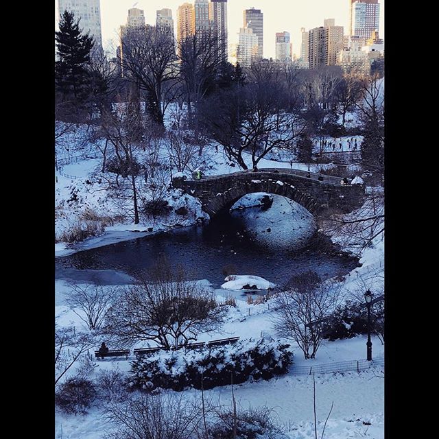   Winter wonderland     NYC       with my love     @johanneshuebl