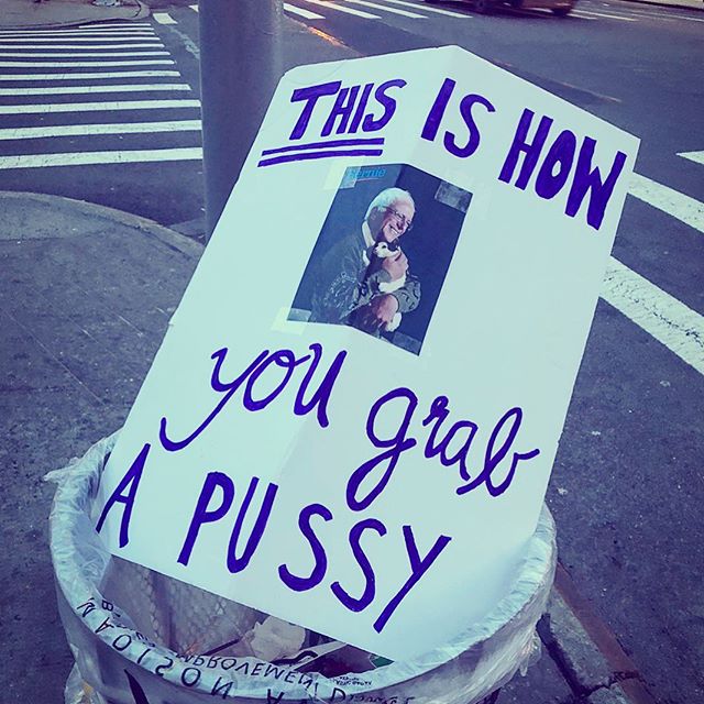 I hate cats (sorry I have severe feline allergies) but I love feminists, activists, puns and New York friggin  City!    