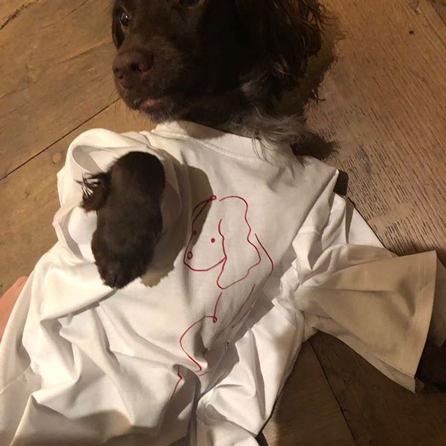 @olivebeckham23 loves her new t-shirt! x VB    #dogsofinstagram #YearoftheDog