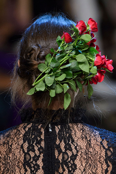 Dolce & Gabbana Dolce & Gabbana