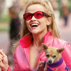 “Legally Blonde” киноны гуравдугаар анги гарна “Legally Blonde” киноны гуравдугаар анги гарна