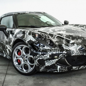 Alfa Romeo 4C автомашиныг могойн арьсаар чимэглэлээ Alfa Romeo 4C автомашиныг могойн арьсаар чимэглэлээ