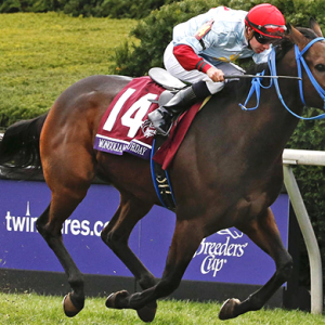 Өнөөдөр уяач Э.Ганбат “Mongolian Saturday” нэртэй морио Royal Ascot морин тойруулгад уралдуулна Өнөөдөр уяач Э.Ганбат “Mongolian Saturday” нэртэй морио Royal Ascot морин тойруулгад уралдуулна