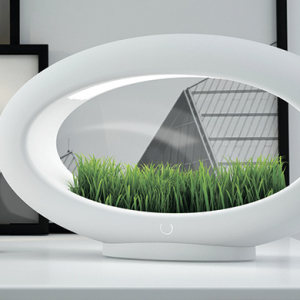 Grasslamp: Мини зүлгээр чимсэн ширээний чийдэн Grasslamp: Мини зүлгээр чимсэн ширээний чийдэн