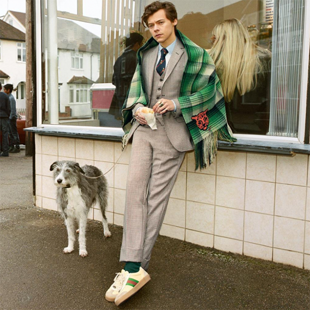 Gucci брэндийн эрэгтэй хослолын нүүр царайгаар Харри Стайлс тодорлоо Gucci брэндийн эрэгтэй хослолын нүүр царайгаар Харри Стайлс тодорлоо