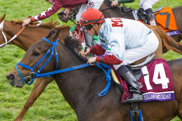 Өнөөдөр уяач Э.Ганбат “Mongolian Saturday” нэртэй морио Royal Ascot морин тойруулгад уралдуулна Өнөөдөр уяач Э.Ганбат “Mongolian Saturday” нэртэй морио Royal Ascot морин тойруулгад уралдуулна