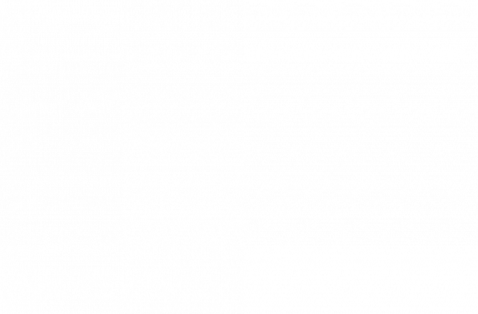 Б.Ялгуун