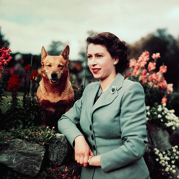 Их Британийн хатан хаан II Элизабет 91 нас хүрлээ