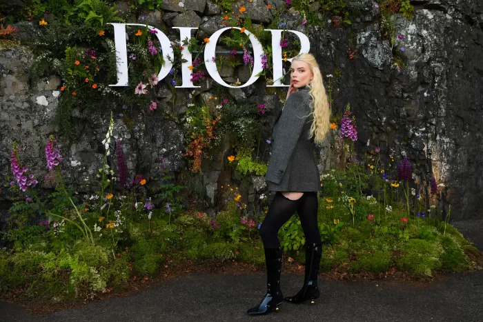Романтик, готик өнгө аястай Dior-ын шинэ цуглуулга (фото 3)