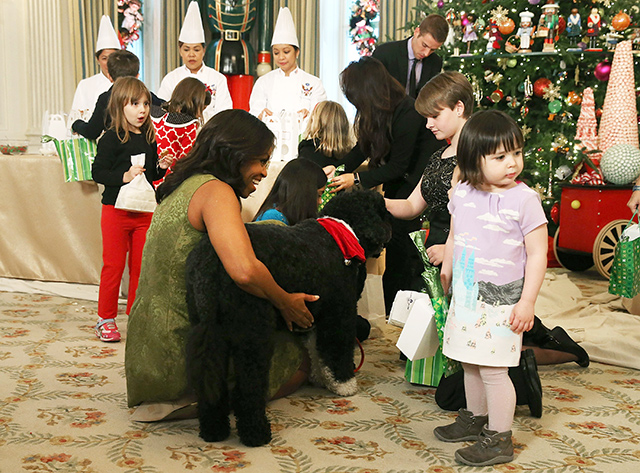 Мишель Обама Цагаан ордны зул сарын баярын чимэглэлийг дэлгэлээ (фото 1)