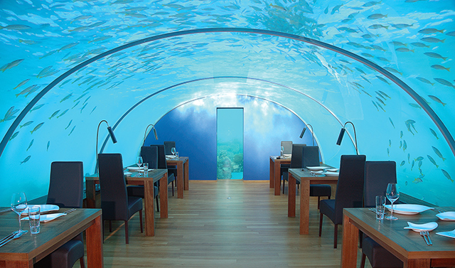 Далайд мэдрэх амт: Мальдивын Ithaa ресторан (фото 1)