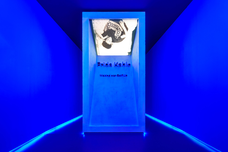 Дотроос нь харцгаая: Виктория ба Альбертын музей дахь Фрида Калогийн үзэсгэлэн (фото 1)