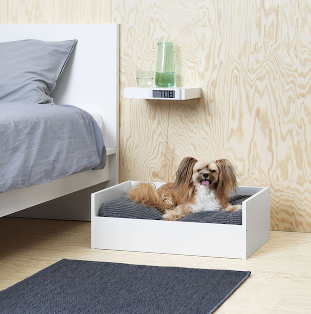 IKEA гэрийн тэжээвэр амьтдад зориулсан тавилгын цуглуулга гаргалаа (фото 6)