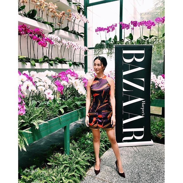 An intimate lunch amongst the orchids for my cover launch w/ @harpersbazaarmy wearing Versace. Watch it all on Snapchat now   #BAZAARMYxNicoleWarne