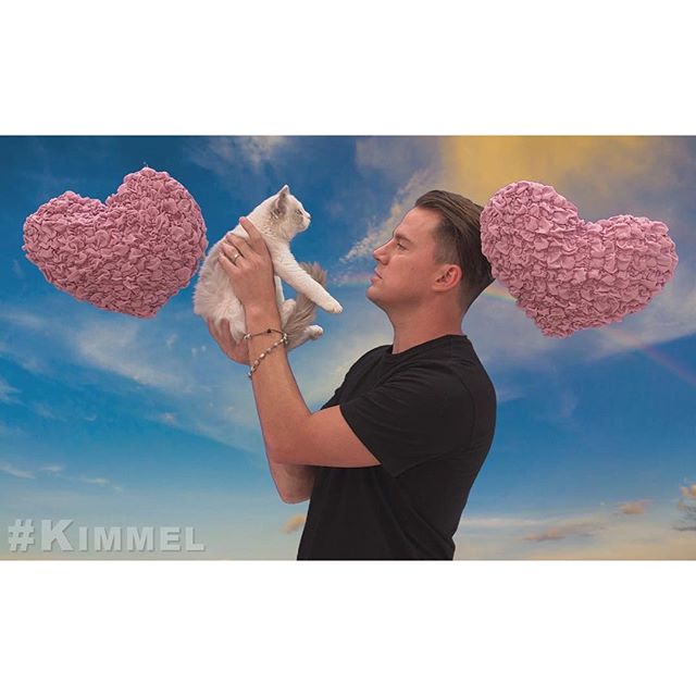 Happy #InternationalCatDay! @ChanningTatum