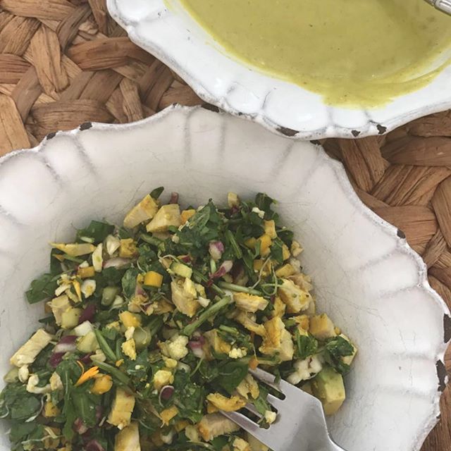 One of my favorites! Tumeric chicken salad with radicchio, arugula, spinach, cucumber, avocado, cauliflower & sprouts. Plus soup with puréed zucchini, curry, garlic, onions & coconut milk. Simple, fresh, nutritious & delicious!   