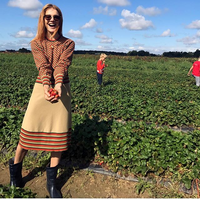 Just another strawberry blonde picking up strawberries         Thanks @nabilharlow    