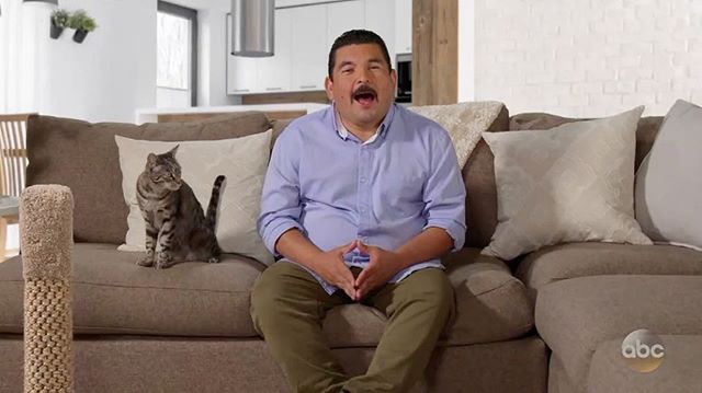 First, Cesar Millan @CesarsWay brought us books for dogs & now @IamGuillermo brings you this... *LINK IN BIO*