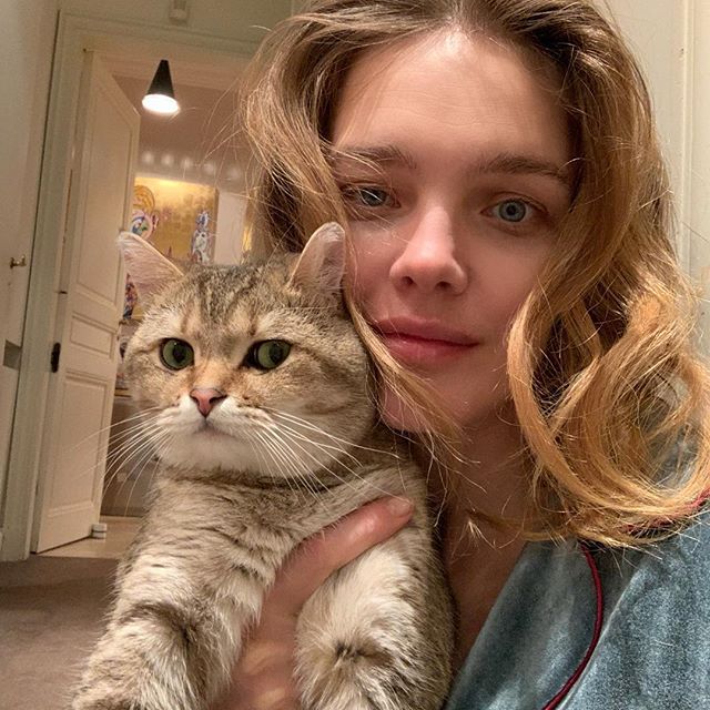 It s a puuuurfect day    still in recovery mode but at least in good company   ps: @galileo_the_cat_ is clearly not into selfies   Все разочарование погодой и отсутствием ранней весны можно прочитать в этом недоверчивом взгляде  